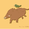 boar