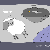 sheep2