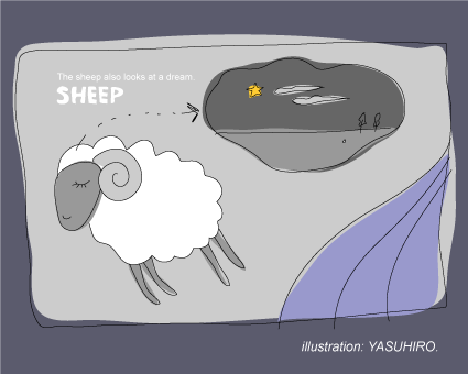 sheep2